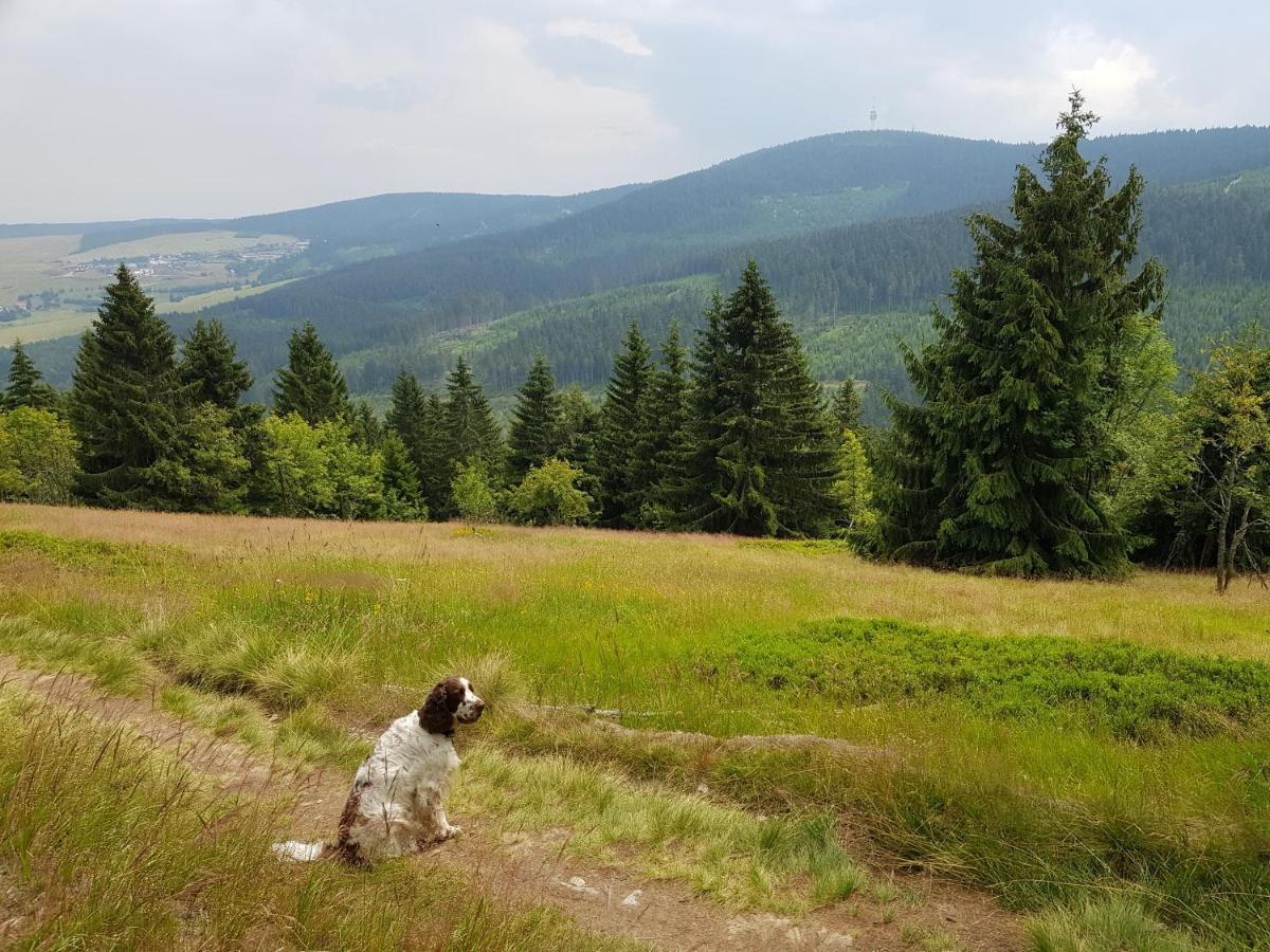 Ferienwohnung Grenzblick Oberwiesenthal Exteriér fotografie